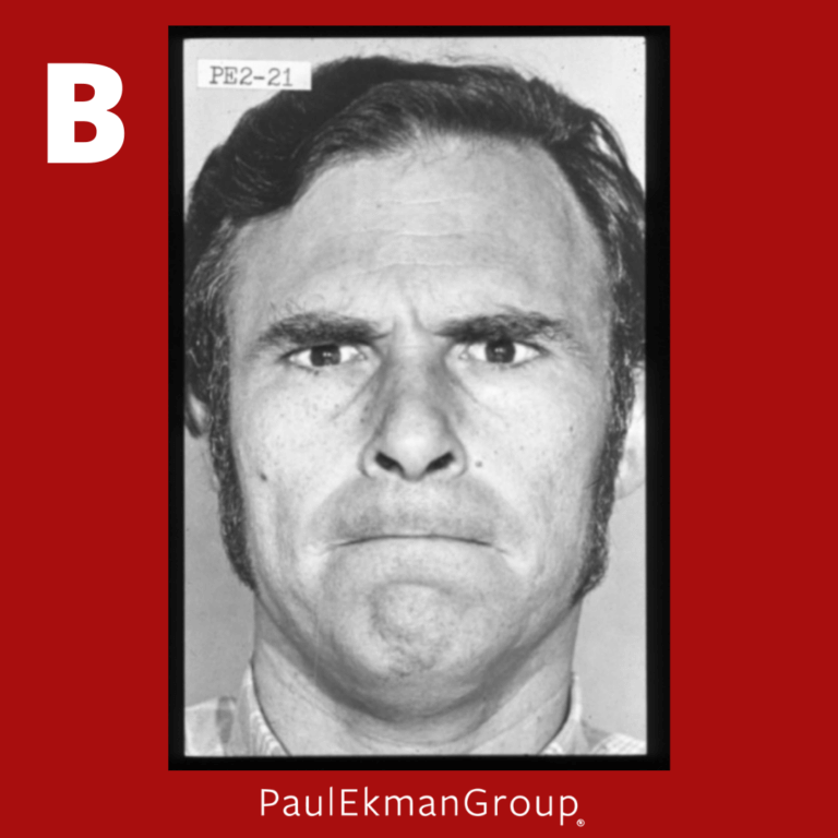 Facial Expression Test Quiz Paul Ekman Group